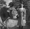 Elisabeth Schaefer 1955